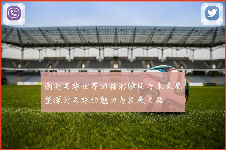 谢亮足球世界的精彩瞬间与未来展望探讨足球的魅力与发展之路