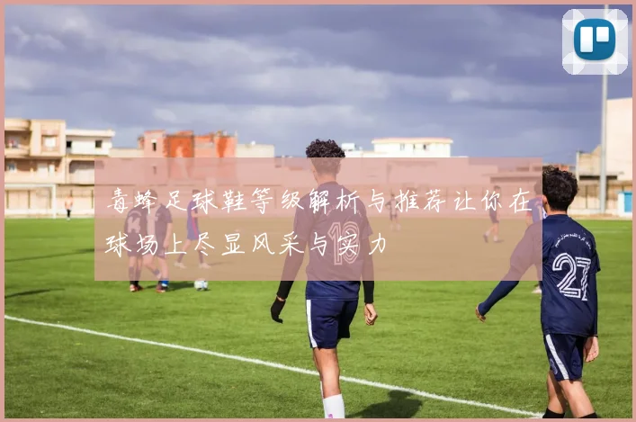 毒蜂足球鞋等级解析与推荐让你在球场上尽显风采与实力