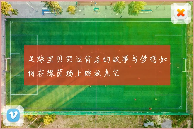 足球宝贝哭泣背后的故事与梦想如何在绿茵场上绽放光芒