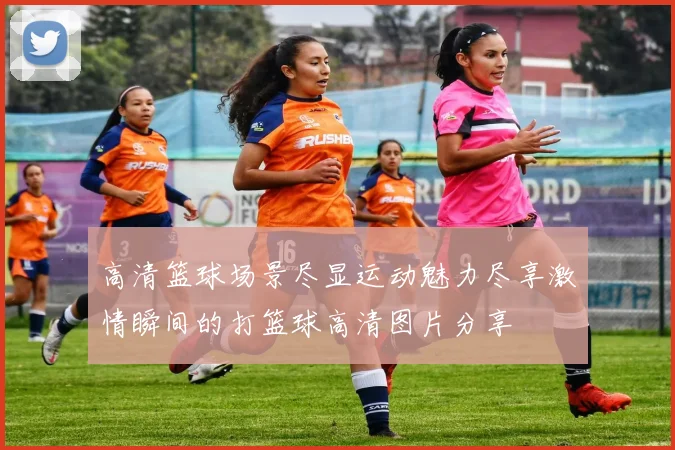 高清篮球场景尽显运动魅力尽享激情瞬间的打篮球高清图片分享